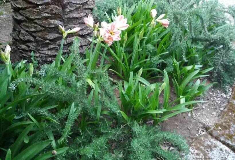 Aamiaismajoitus (B&B) Il Piccolo Nido