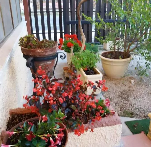 Aamiaismajoitus (B&B) Il Piccolo Nido