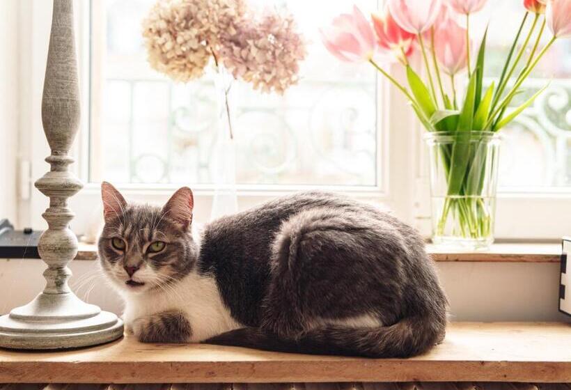 민박 La Cantellerie