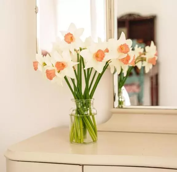 Aamiaismajoitus (B&B) La Cantellerie