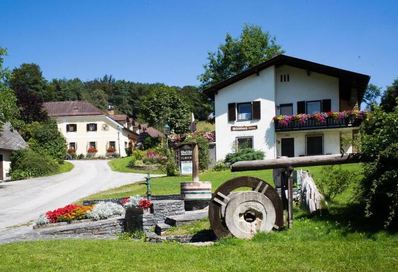 Общежитие Gästezimmer Buchegger