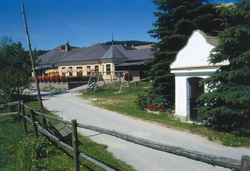 Общежитие Gästezimmer Buchegger