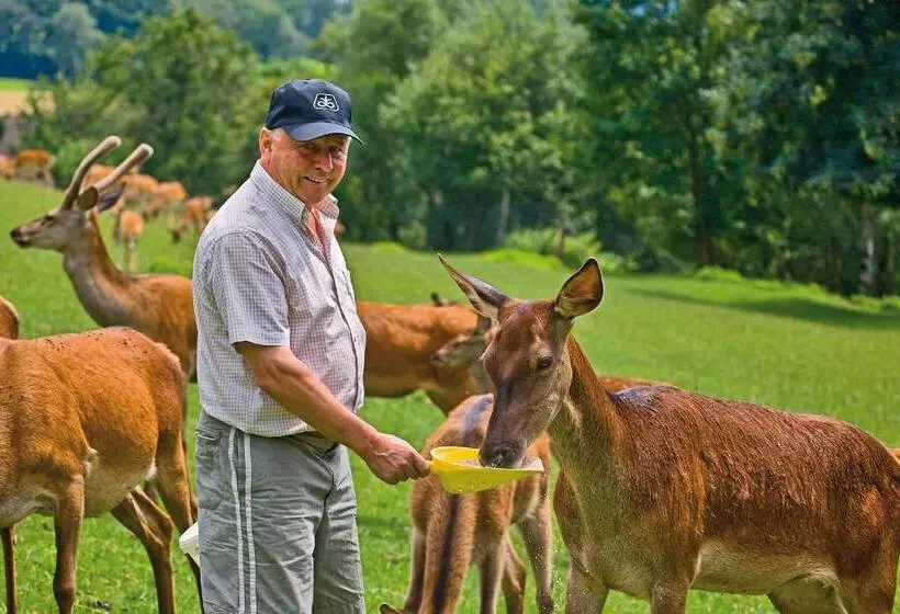 Retkeilymaja Gästezimmer Buchegger
