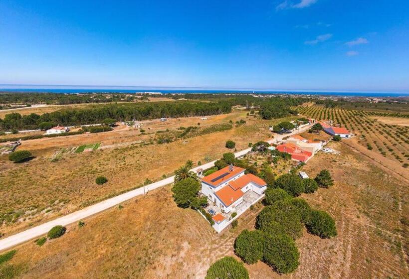 Bed and Breakfast Arrifana Pines