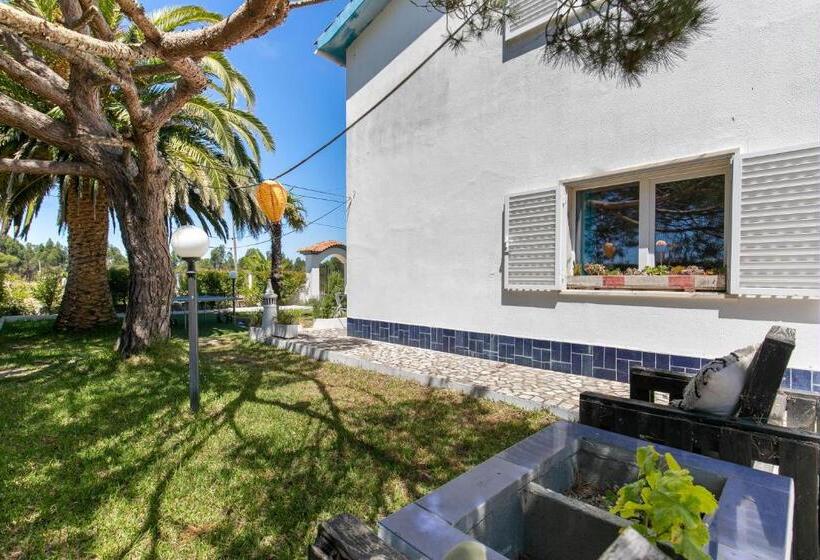 Bed and Breakfast Arrifana Pines