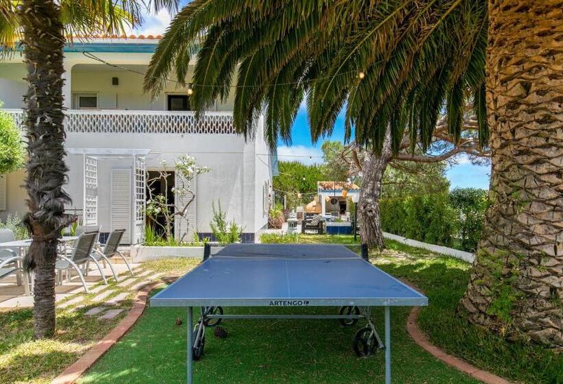 Bed and Breakfast Arrifana Pines