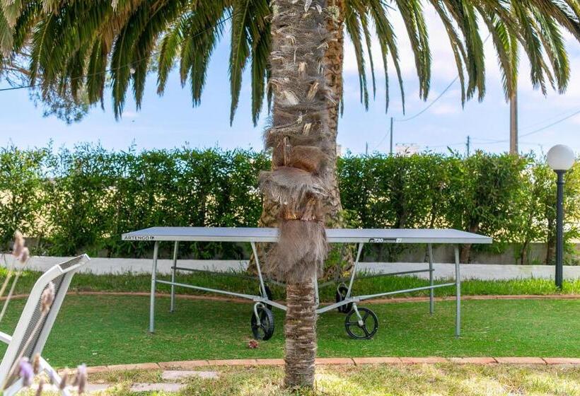 Bed and Breakfast Arrifana Pines