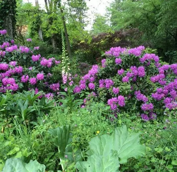 Aamiaismajoitus (B&B) Les Sittelles De Bamboche