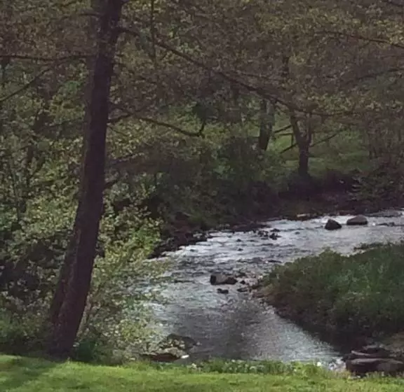 Aamiaismajoitus (B&B) Les Sittelles De Bamboche