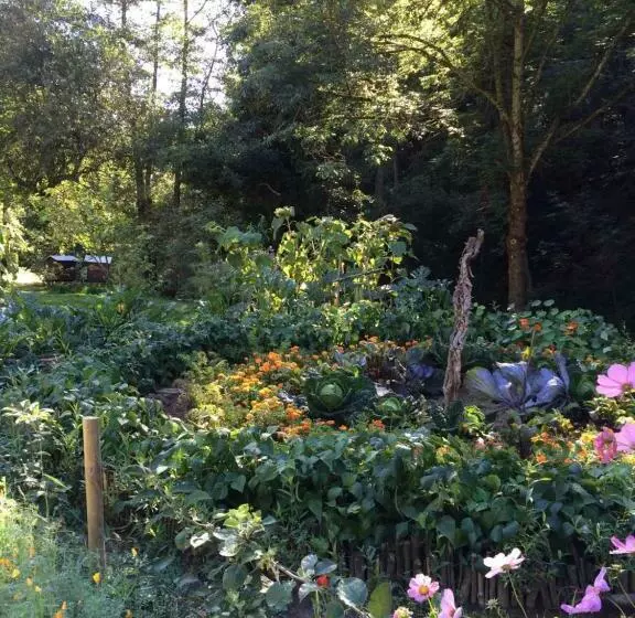 Aamiaismajoitus (B&B) Les Sittelles De Bamboche