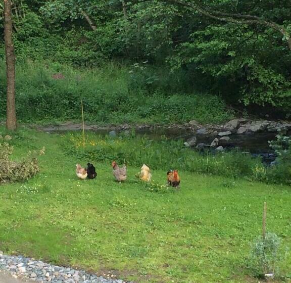 مبيت وإفطار Les Sittelles De Bamboche