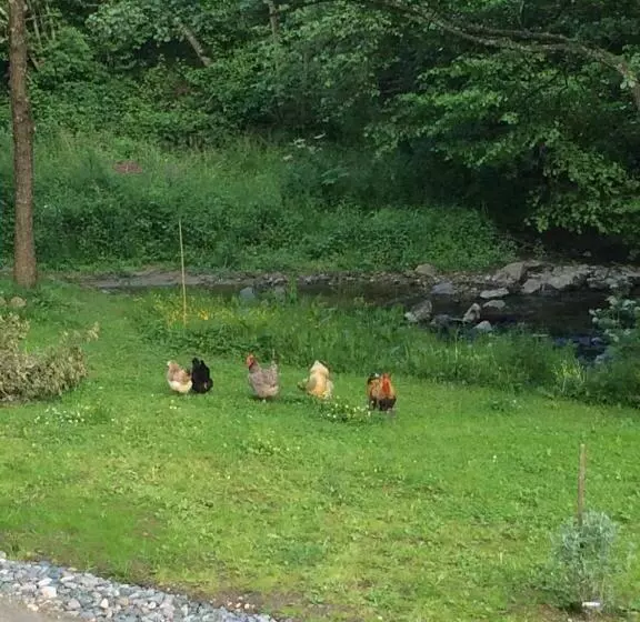 Aamiaismajoitus (B&B) Les Sittelles De Bamboche