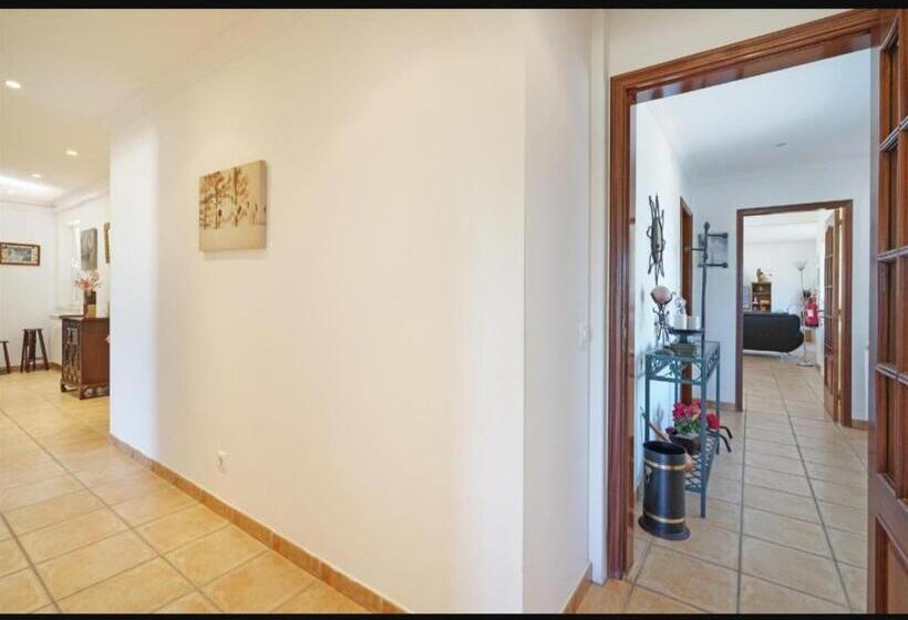 فندق O Cantinho Dos Vieiras