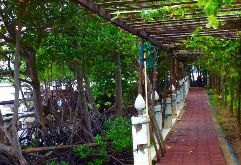 Meena Resort