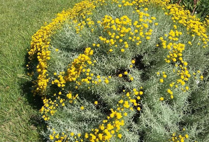 Пансион Casetta Vacanza In Campagna