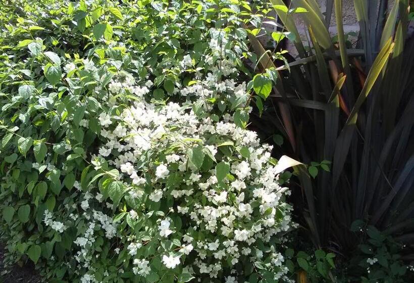 Пансион Casetta Vacanza In Campagna