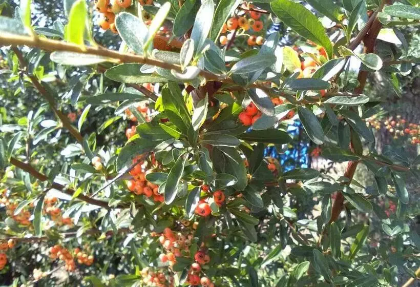 Majatalo Casetta Vacanza In Campagna