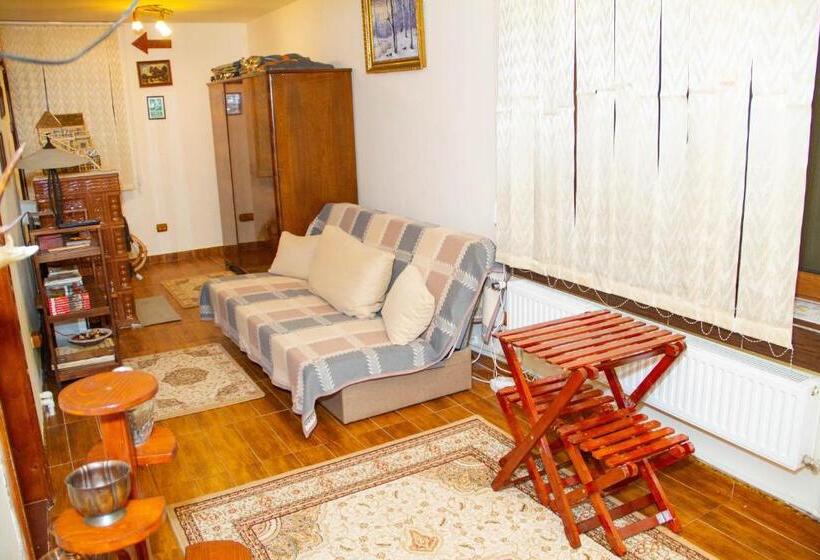 پانسیون La Mihai