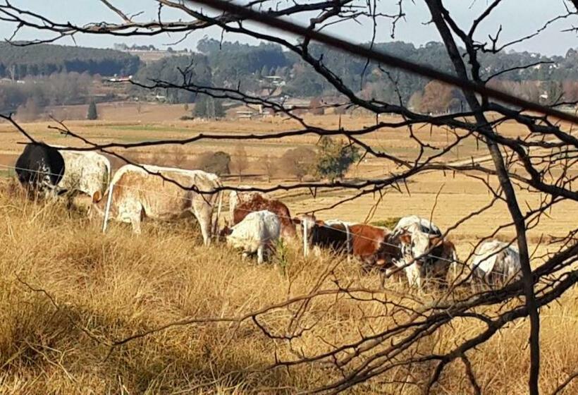 פנסיון Little Fields Country House And Cottages