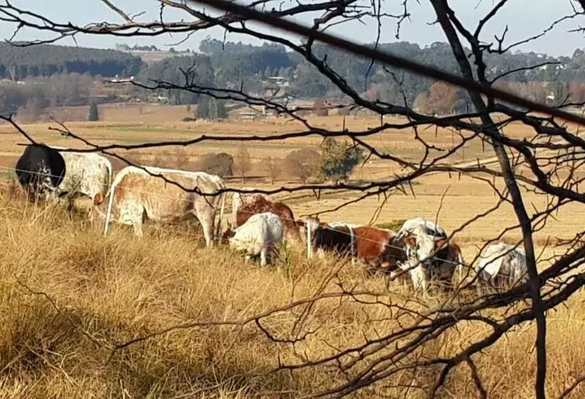 Majatalo Little Fields Country House And Cottages