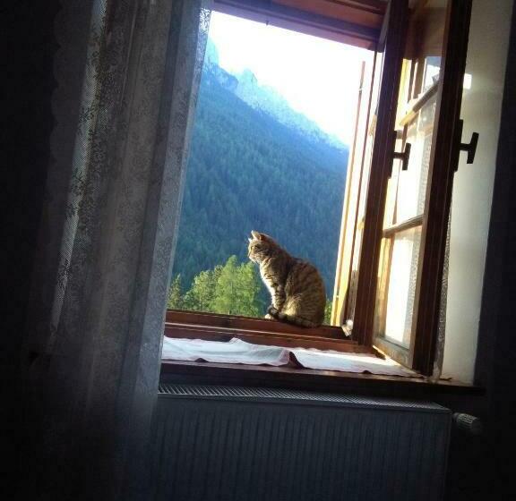 Achillea Bed & Breakfast