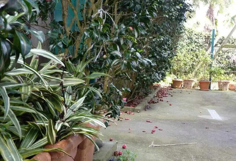 Azores Holidays House  B&b   Suites   Self Check In Keyboard