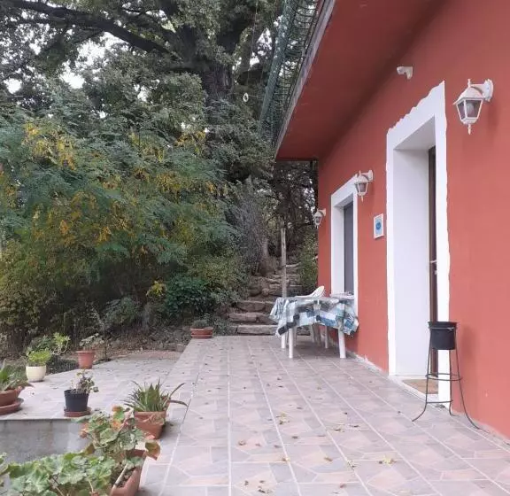 B&b Kikina
