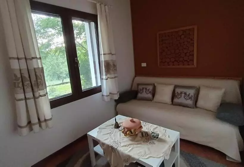 B&b Kikina