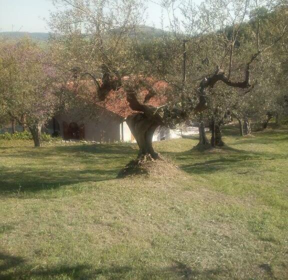 צימר Creta Rossa