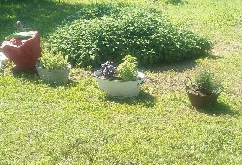 Aamiaismajoitus (B&B) Creta Rossa