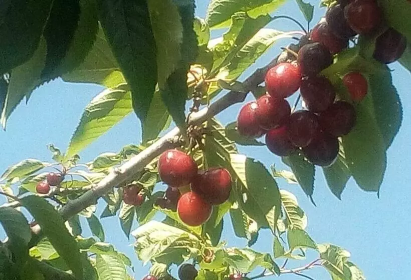 Aamiaismajoitus (B&B) Creta Rossa