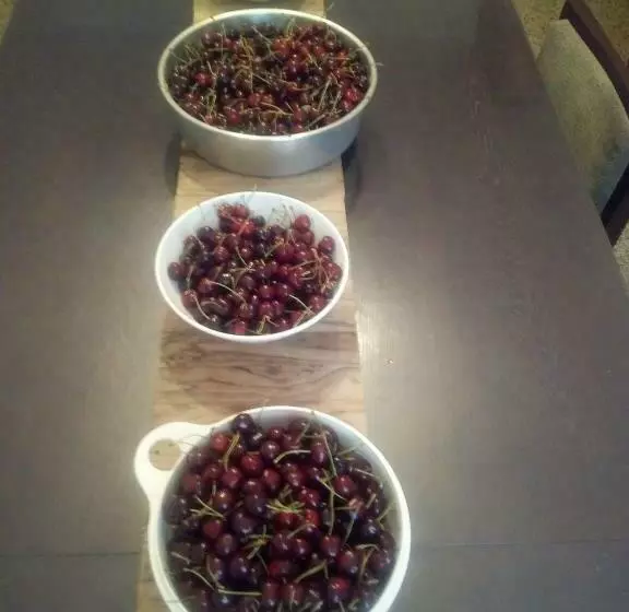 Aamiaismajoitus (B&B) Creta Rossa