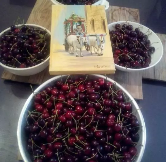 Aamiaismajoitus (B&B) Creta Rossa