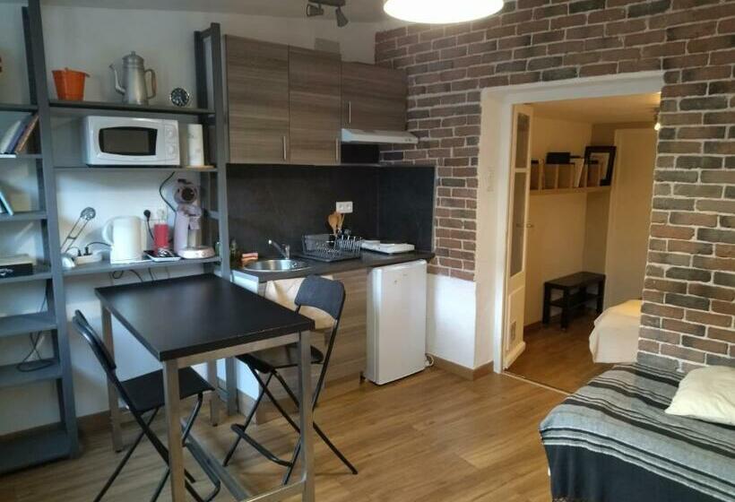 بنسيون Aurillac Meuble De Tourisme