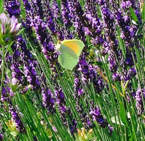 펜션 Gites Du Raby