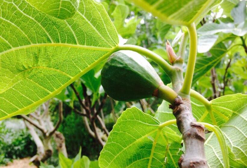 펜션 Gites Du Raby