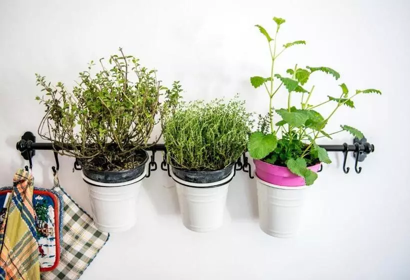 Majatalo Il Giardino Di Lavanda