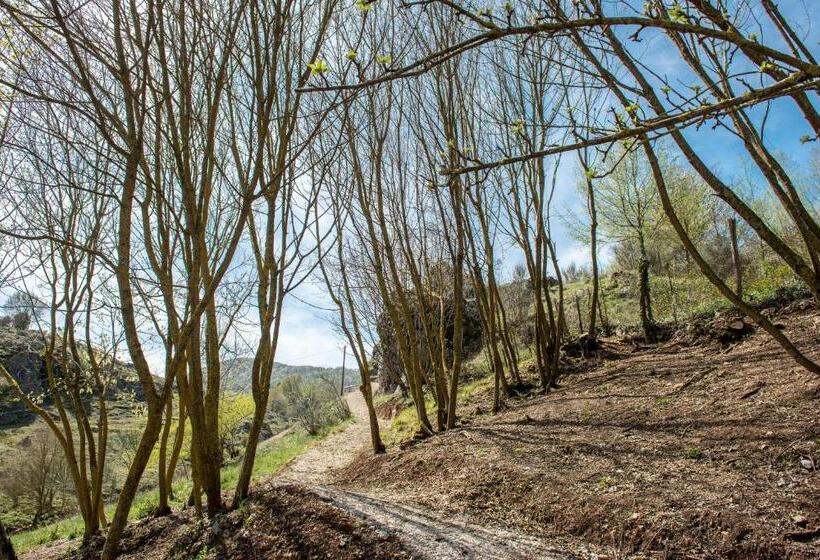膳宿费 Il Giardino Di Lavanda