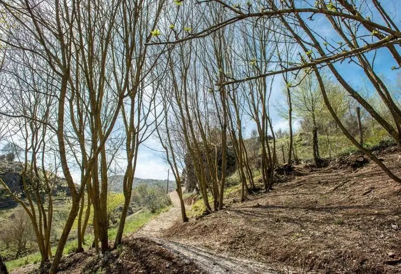 Majatalo Il Giardino Di Lavanda