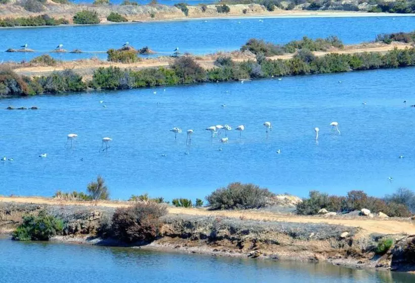 ペンション Moinhos Das Marés