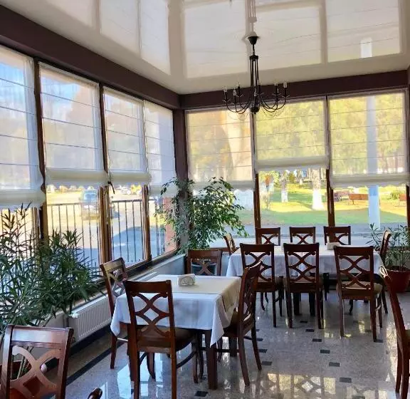 ペンション Vila Luminita