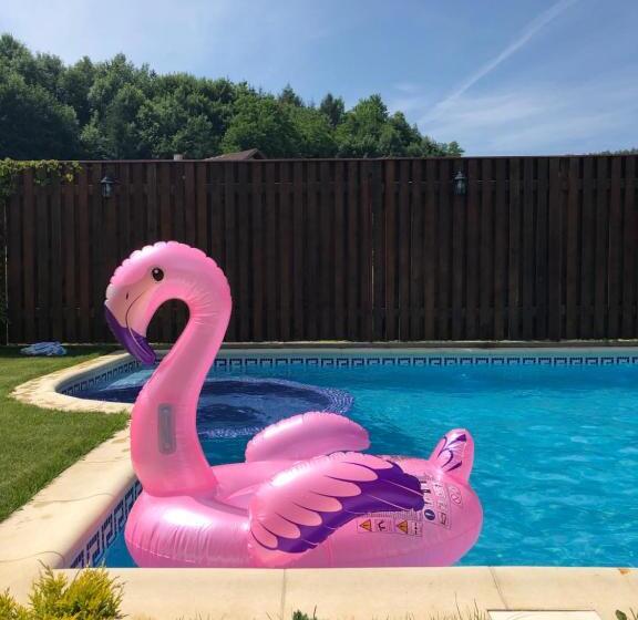 פנסיון Vila Luminita