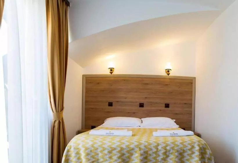 ペンション Vila Luminita