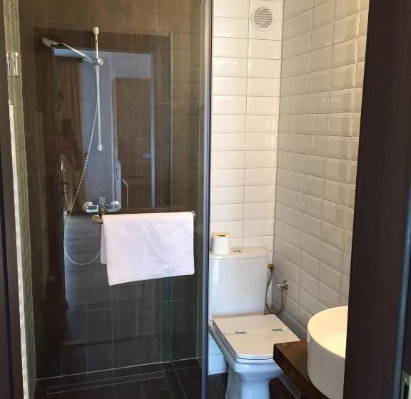 פנסיון Vila Luminita