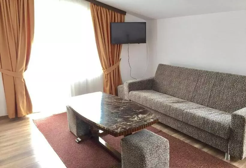 ペンション Vila Luminita