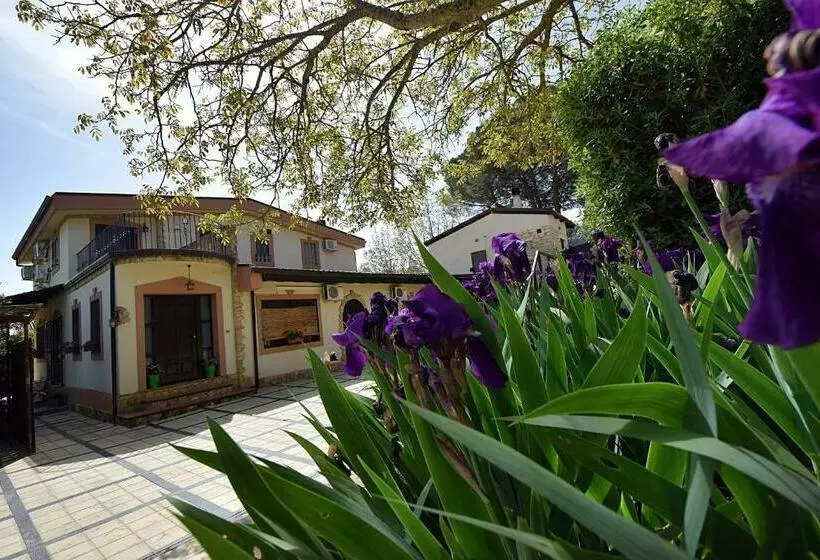 B&b Agave 64
