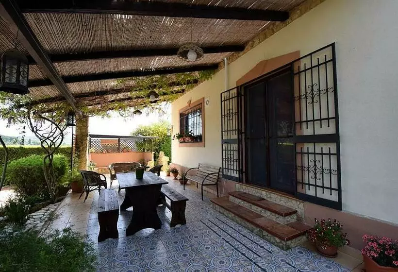 B&b Agave 64