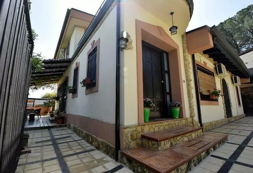 B&b Agave 64