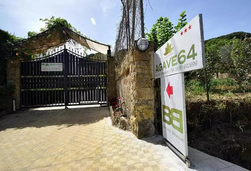 B&b Agave 64