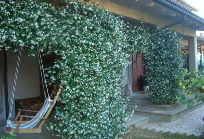 B&b Luce Riflessa